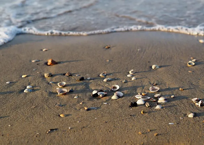Cozy With Private Garden Near The Apartament *
