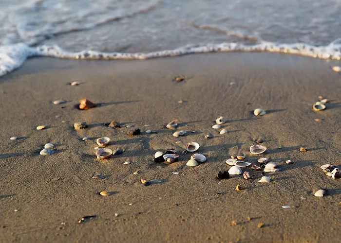 Cozy With Private Garden Near The Appartamento